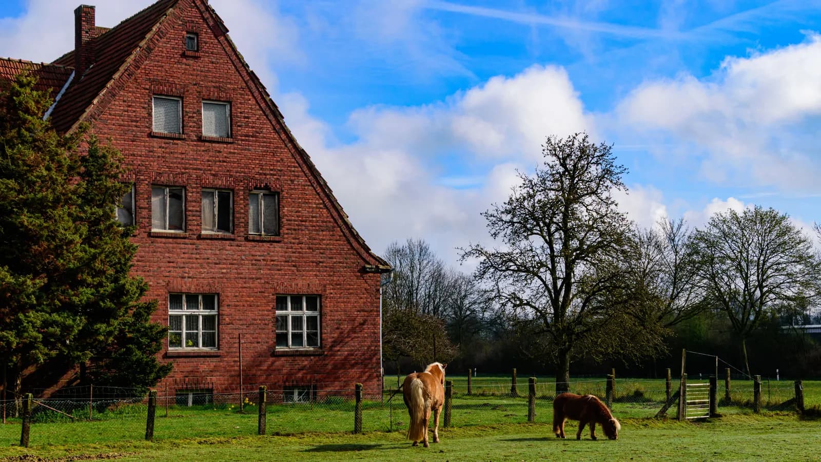 Weite Feldlandschaft mit Baumreihe bei Coesfeld im Münsterland